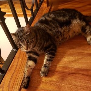 Meet your Posher, Alma karina